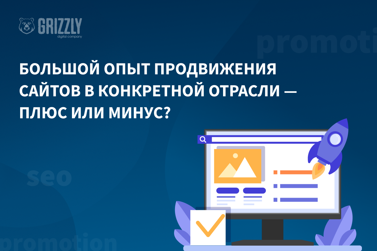 Большой опыт продвижения сайтов в конкретной отрасли – плюс или минус ...